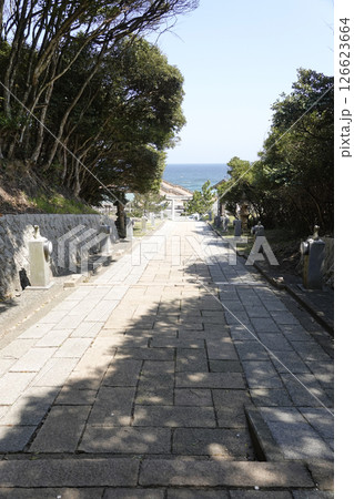 鳥取県 白兎神社の参道から見る白兎海岸 126623664