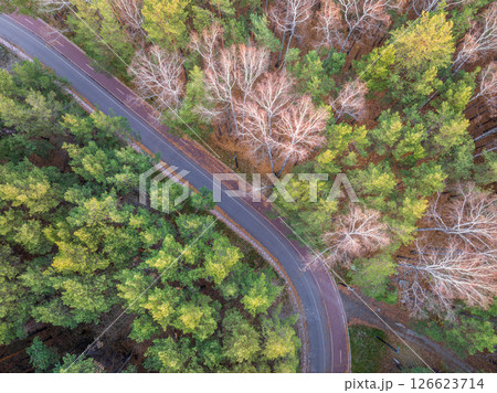 Aerial view of road in beautiful autumn forest at sunset. Beautiful landscape with empty rural road, trees with red and orange leaves. 126623714