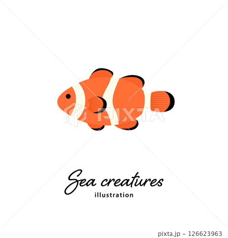 カクレクマノミのシンプルなイラスト 126623963