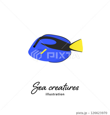 ナンヨウハギのシンプルなイラスト ナンヨウハギのシンプルなイラスト 126623970