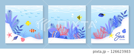 海の生き物のイラストセット_2 126623983