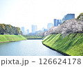 千鳥ヶ淵の桜 126624178