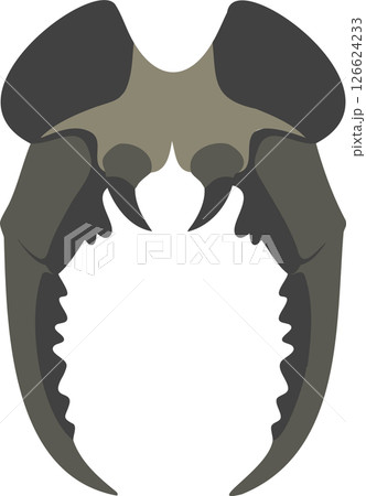 Saber-Toothed Fangs Silhouette - Prehistoric Predator Jaw 126624233