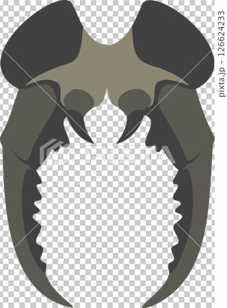 Saber-Toothed Fangs Silhouette - Prehistoric Predator Jaw 126624233