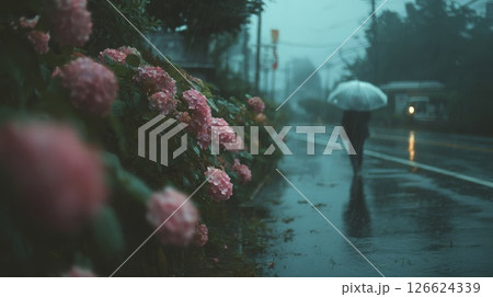紫陽花のある梅雨の風景 紫陽花のある梅雨の風景 126624339