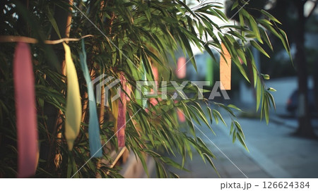 短冊と七夕祭り 126624384