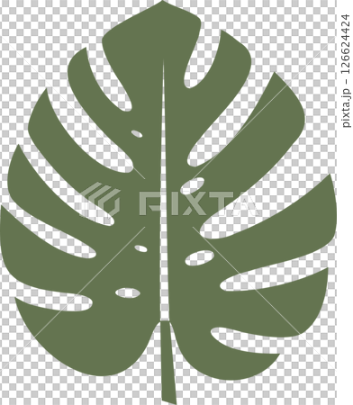Solid Monstera Leaf - Tropical Foliag 126624424