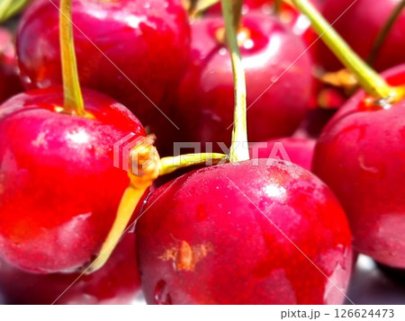 Red Cherries In A Bowl 126624473