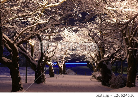 岩手県北上市　夜の冬景色 126624510