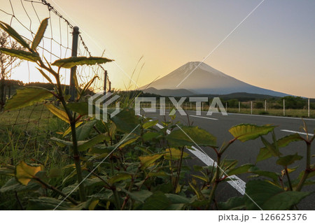 富士山 126625376