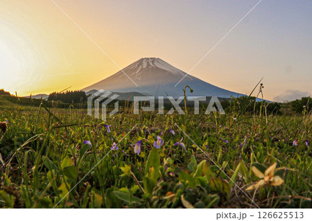 富士山 富士山 126625513