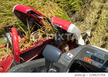 コンバインの運転席からの稲刈り風景 コンバインの運転席からの稲刈り風景 126625708