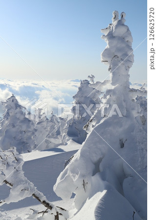 蔵王山の雪景色 126625720