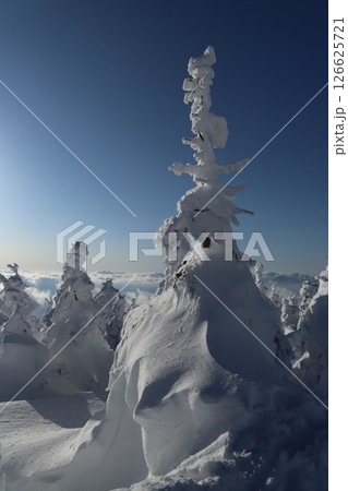 蔵王山の雪景色 126625721