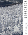 蔵王山の雪景色 126625723