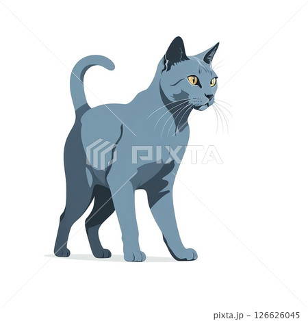 獲物を狙うロシアンブルー 126626045