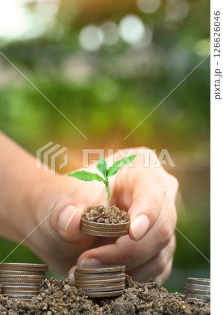 Nurturing investment, financial growth, and sustainability concept 126626046