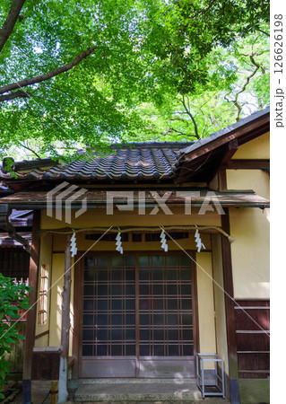 新緑が眩しい初夏の神戸湊川神社の境内 126626198