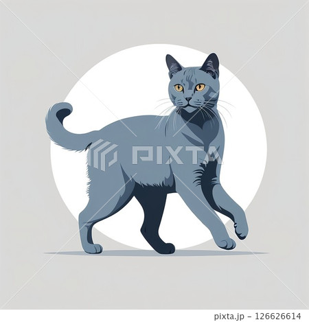 筋肉質ながらスリムで身軽なロシアンブルー 126626614