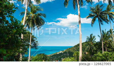 Tropical Paradise: Palm Trees, Breeze, and Azure Sea,vibrant view of a tropical island, seen through the shade of tall, majestic palm trees looking out towards the endless azure sea 126627065