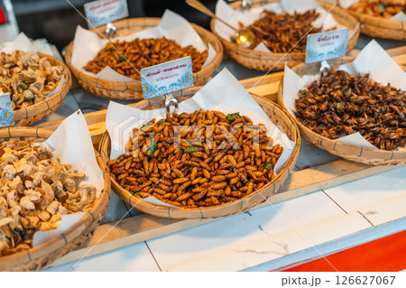 Fried Insects,Fried silkworms and other insect varieties are attractively arranged in woven baskets or various containers 126627067