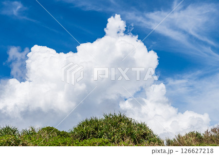 南の島のお昼時の入道雲 126627218