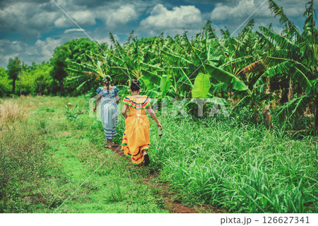 Two females peasant farmers walking through a plantain orchard. Young farm workers walking through a plantain harvest Two females peasant farmers walking through a plantain orchard. Young farm workers walking through a plantain harvest 126627341
