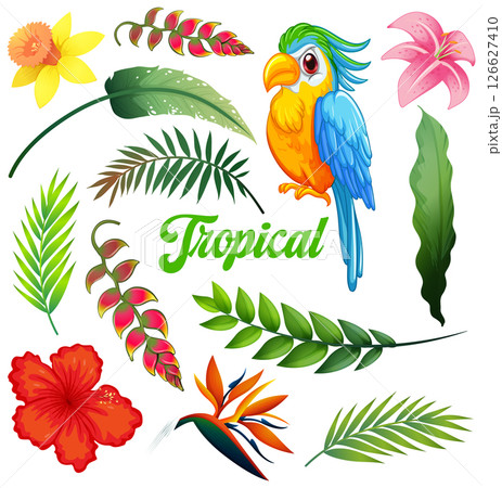 Tropical Bird and Exotic Floral Elements 126627410