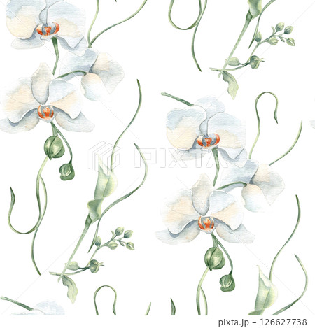 White orchids, lily flowers and gentle stems watercolor seamless pattern isolated. Elegant floral repeat background hand drawn for wedding textiles, feminine stationery, and packaging, wallpaper. 126627738