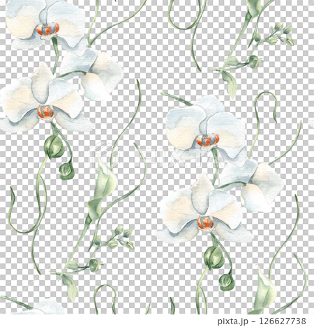 White orchids, lily flowers and gentle stems watercolor seamless pattern isolated. Elegant floral repeat background hand drawn for wedding textiles, feminine stationery, and packaging, wallpaper. 126627738