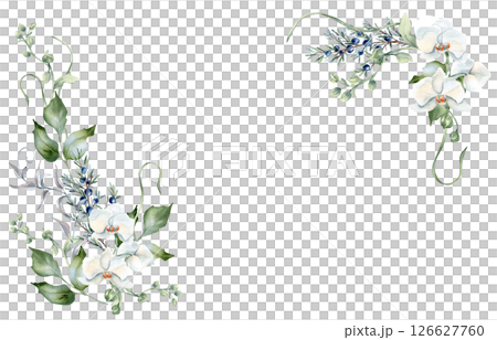 White orchid floral corner frame in watercolor with leafy green elements isolated on. Elegant greenery design with flowers and juniper hand drawn for wedding invitations, branding, and greeting cards. 126627760