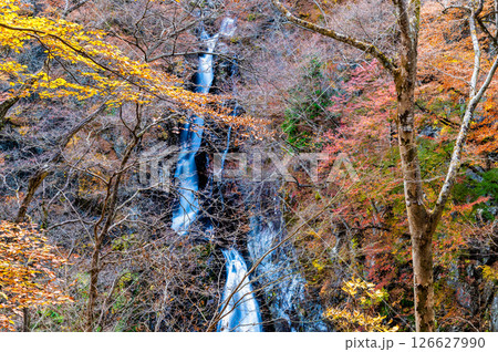群馬 紅葉の小中大滝 126627990