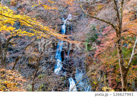 群馬 紅葉の小中大滝 126627991