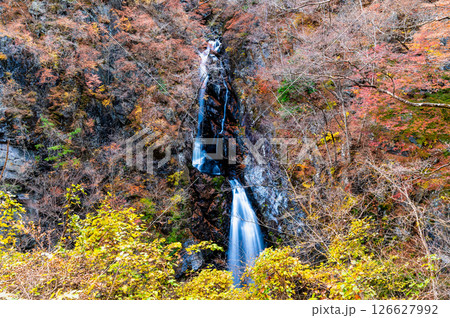 群馬 紅葉の小中大滝 126627992