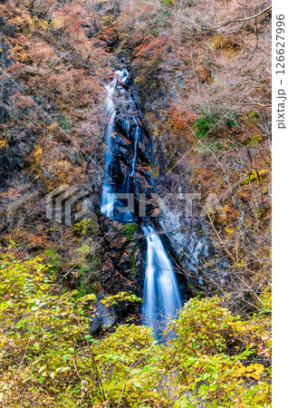 群馬 紅葉の小中大滝 126627996