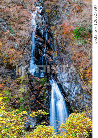 群馬 紅葉の小中大滝 群馬 紅葉の小中大滝 126627997