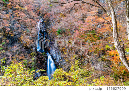 群馬 紅葉の小中大滝 126627999