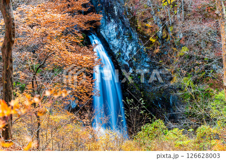 群馬 紅葉の小中大滝 126628003