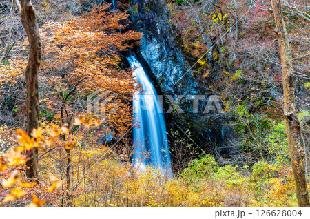 群馬 紅葉の小中大滝 群馬 紅葉の小中大滝 126628004