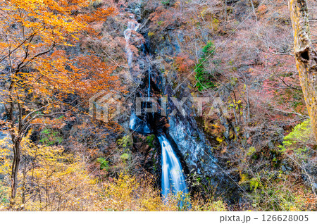 群馬 紅葉の小中大滝 126628005