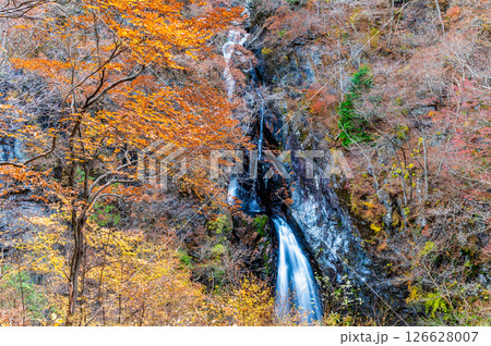 群馬 紅葉の小中大滝 126628007
