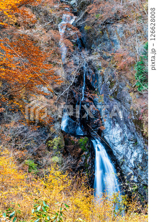群馬 紅葉の小中大滝 126628008