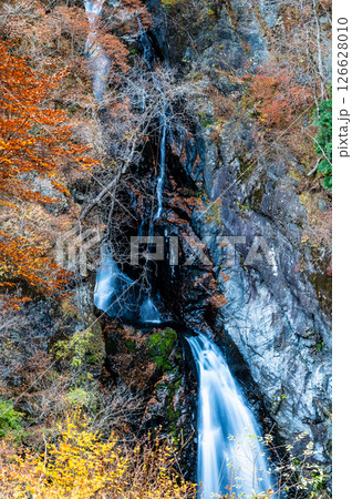 群馬 紅葉の小中大滝 126628010