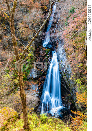 群馬 紅葉の小中大滝 126628013