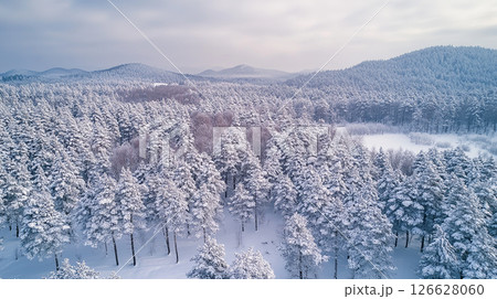Winter landscape features a vast forest covered in snow with distant mountains in a serene setting during the day 126628060