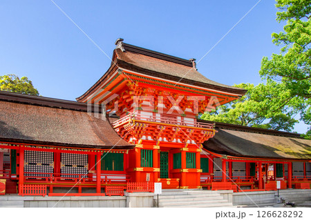 宇佐神宮 宇佐神宮 126628292