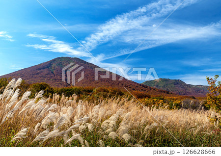 【青森県八甲田山中】青森市田代平箒場から眺める北八甲田の紅葉 126628666