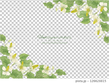 Watercolor painted Houttuynia cordata background frame material 126628815
