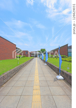 千葉県千葉市、千葉県立美術館の風景 千葉県千葉市、千葉県立美術館の風景 126629031