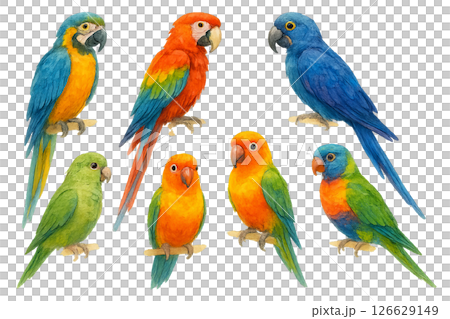 Png set of vibrant watercolor parrots in various colors isolated on transparent background. concept of tropical birds, exotic wildlife, colorful parrot illustration for design. 126629149